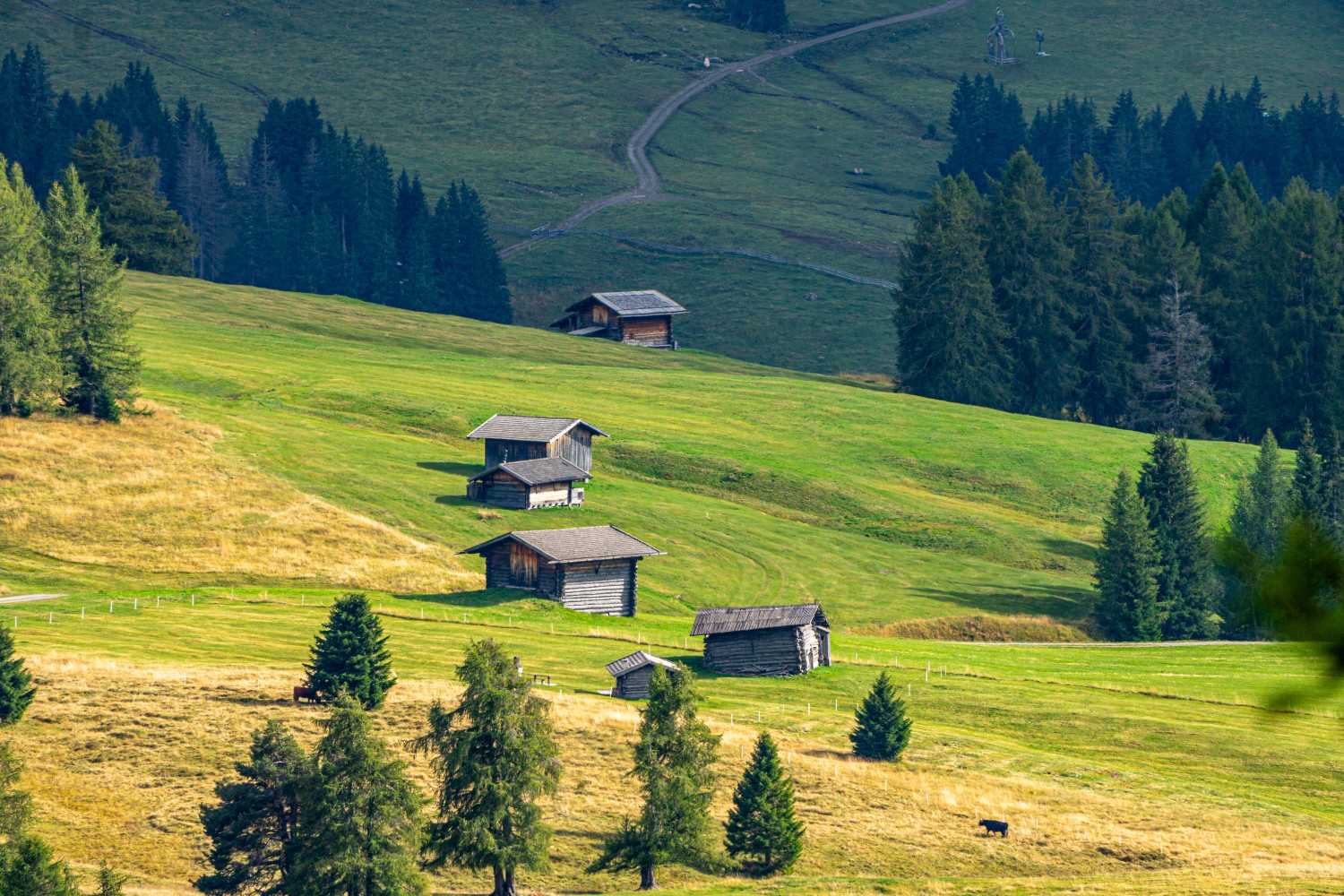 能源管理系統(tǒng)，城市綠色發(fā)展，節(jié)能減排